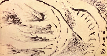Jackson Pollock, Composition, Jackson Pollock, The Last Sketchbook, Lithograph