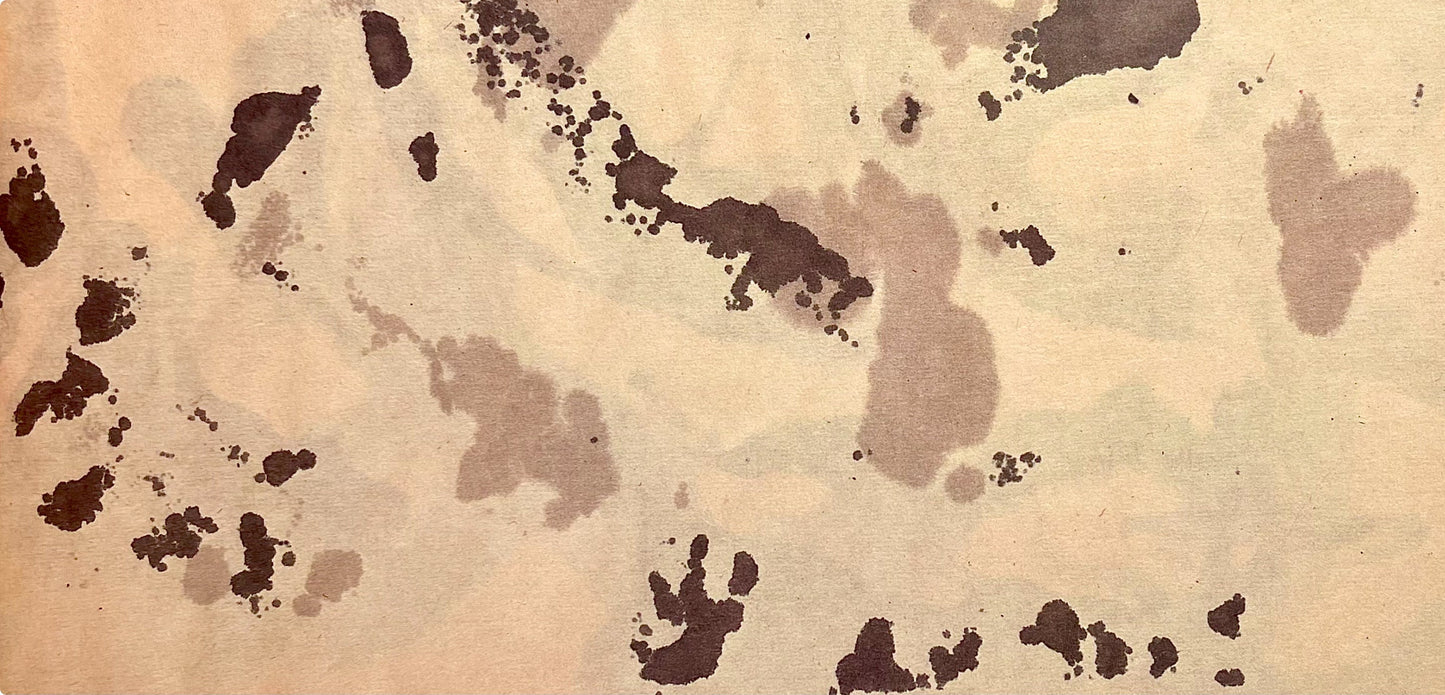 Jackson Pollock, Composition, Jackson Pollock, The Last Sketchbook, Lithograph