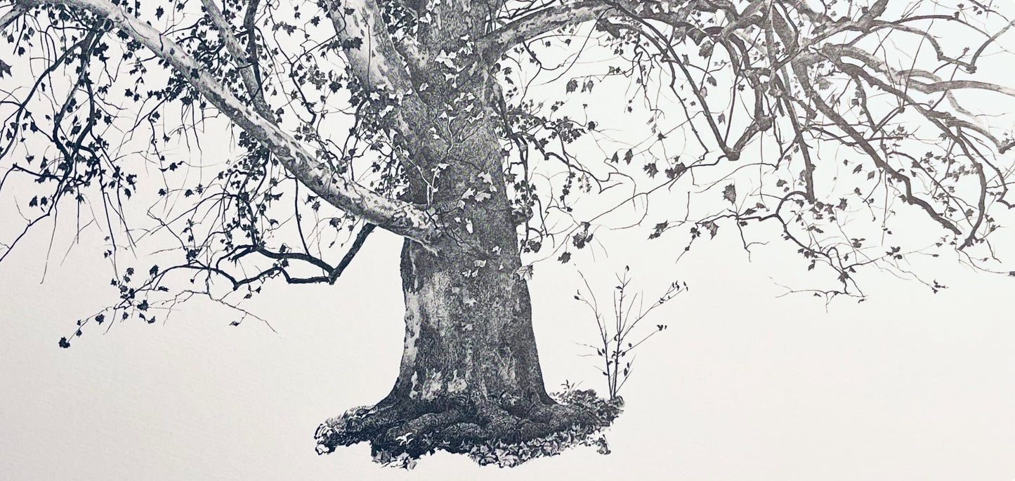 Andrew Wyeth, New Leaves, The Four Seasons, Lithograph