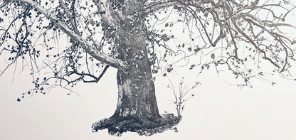 Andrew Wyeth, New Leaves, The Four Seasons, Lithograph