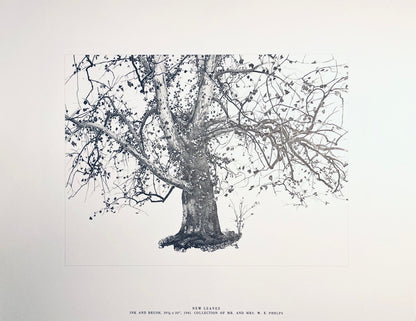 Andrew Wyeth, New Leaves, The Four Seasons, Lithograph