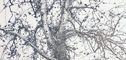 Andrew Wyeth, New Leaves, The Four Seasons, Lithograph