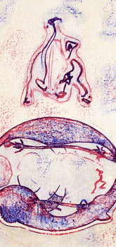 Max Ernst, Composition (Spies/Leppien 202D), Xxe Sicle, Lithograph