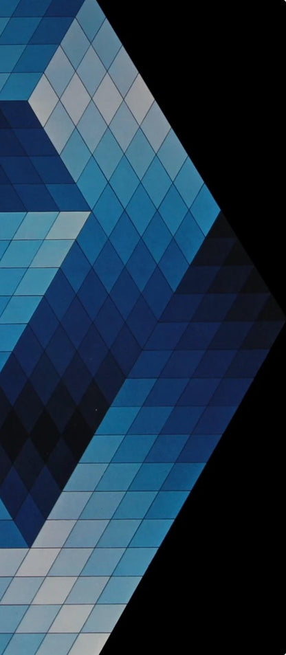 Victor Vasarely, Composition, Hommage Hexagone, Hliogravure