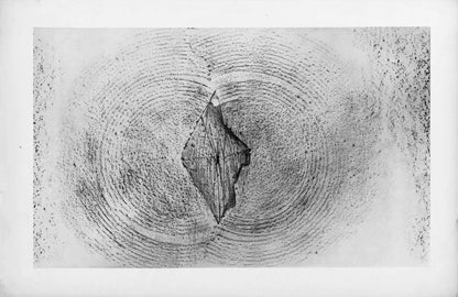 Max Ernst, Composition (Spies/Leppien 222), Histoire Naturelle, Lithograph