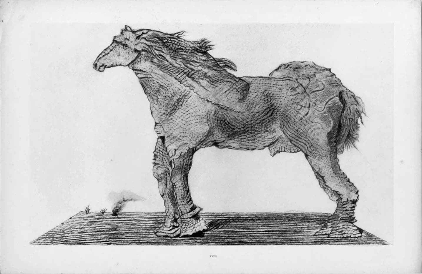 Max Ernst, Composition (Spies/Leppien 222), Histoire Naturelle, Lithograph