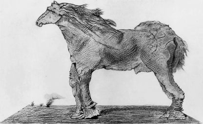 Max Ernst, Composition (Spies/Leppien 222), Histoire Naturelle, Lithograph