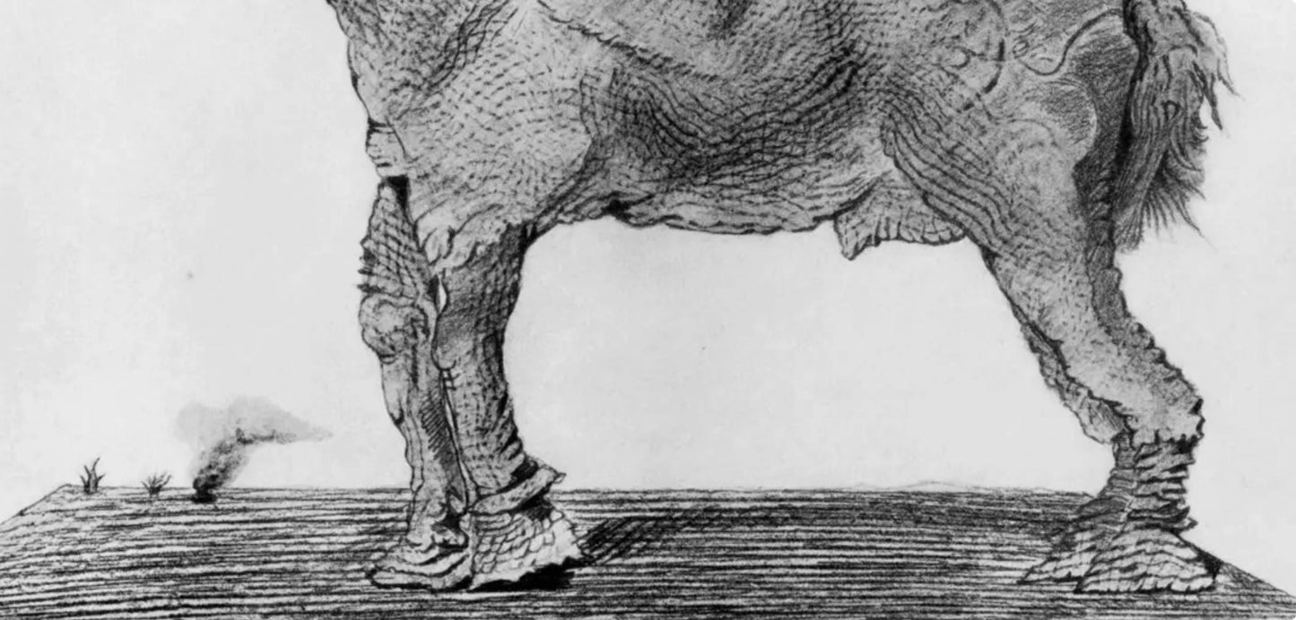 Max Ernst, Composition (Spies/Leppien 222), Histoire Naturelle, Lithograph