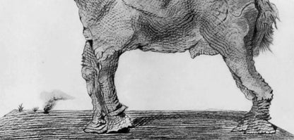 Max Ernst, Composition (Spies/Leppien 222), Histoire Naturelle, Lithograph