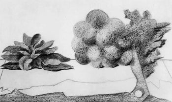 Max Ernst, Composition (Spies/Leppien 222), Histoire Naturelle, Lithograph