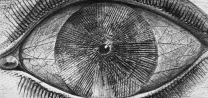 Max Ernst, Composition (Spies/Leppien 222), Histoire Naturelle, Lithograph