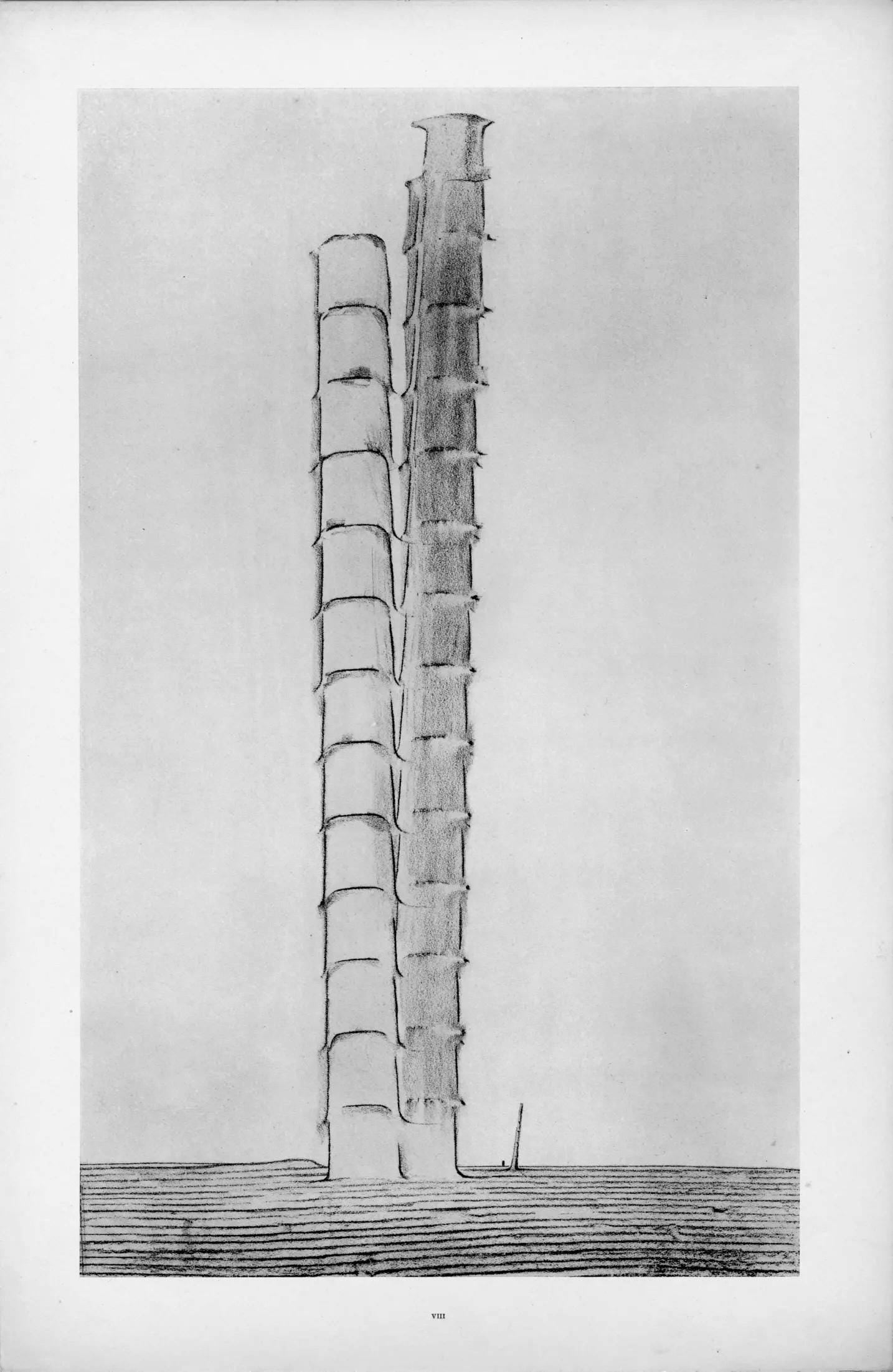 Max Ernst, Composition (Spies/Leppien 222), Histoire Naturelle, Lithograph