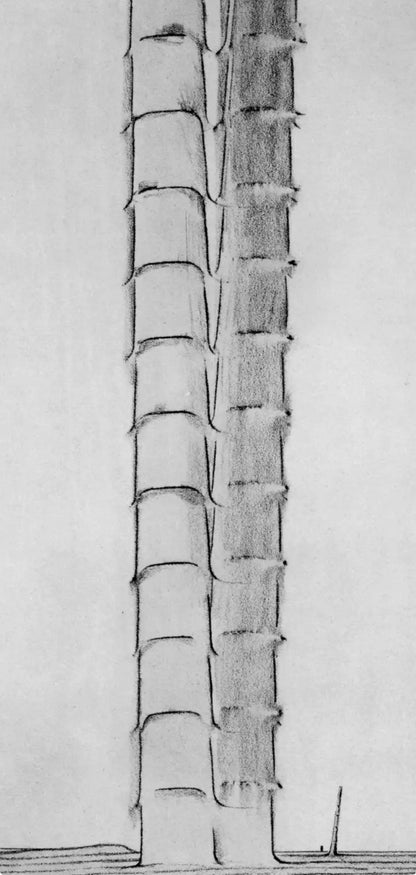 Max Ernst, Composition (Spies/Leppien 222), Histoire Naturelle, Lithograph