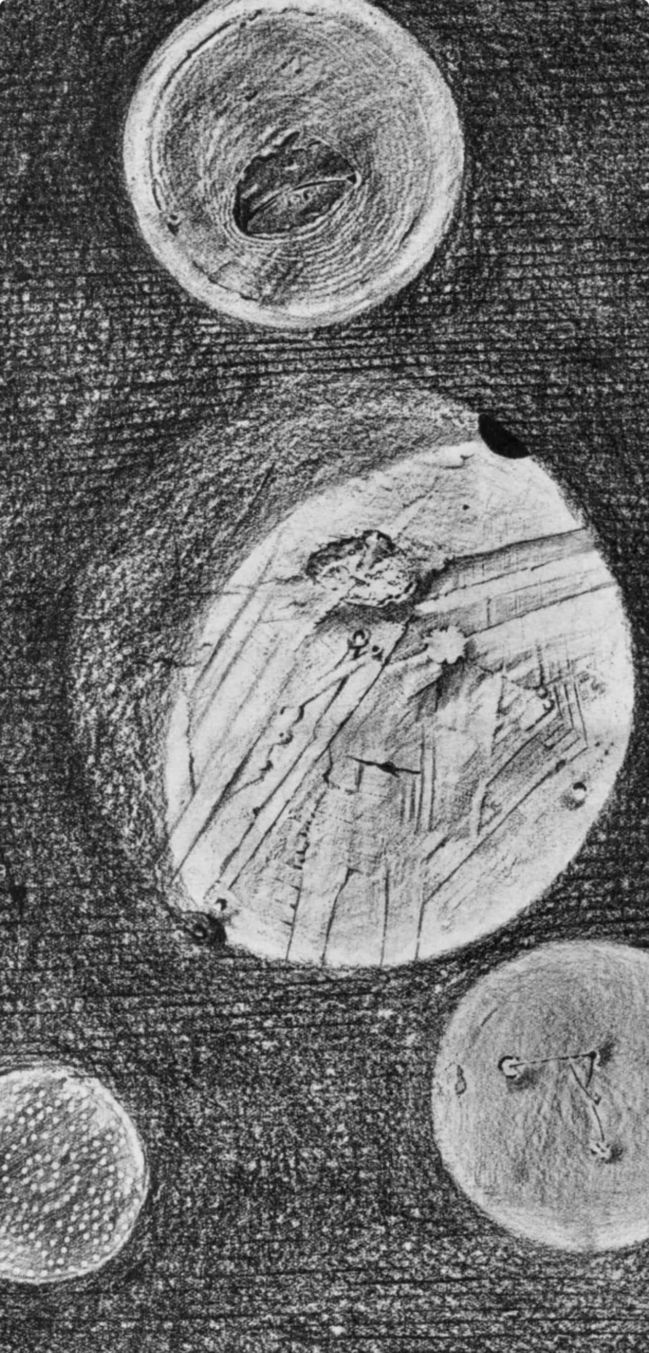 Max Ernst, Composition (Spies/Leppien 222), Histoire Naturelle, Lithograph