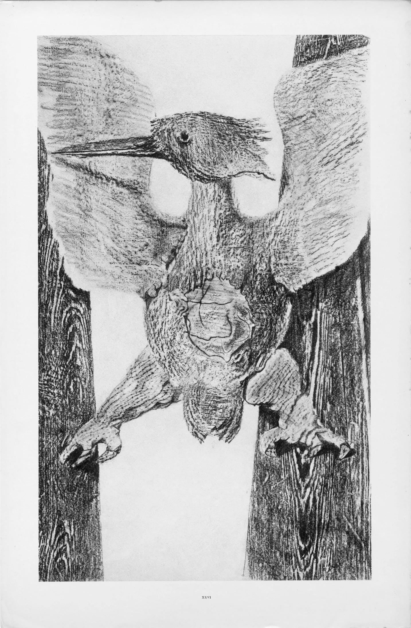 Max Ernst, Composition (Spies/Leppien 222), Histoire Naturelle, Lithograph