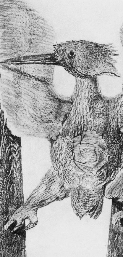 Max Ernst, Composition (Spies/Leppien 222), Histoire Naturelle, Lithograph