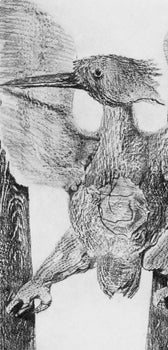 Max Ernst, Composition (Spies/Leppien 222), Histoire Naturelle, Lithograph