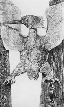Max Ernst, Composition (Spies/Leppien 222), Histoire Naturelle, Lithograph
