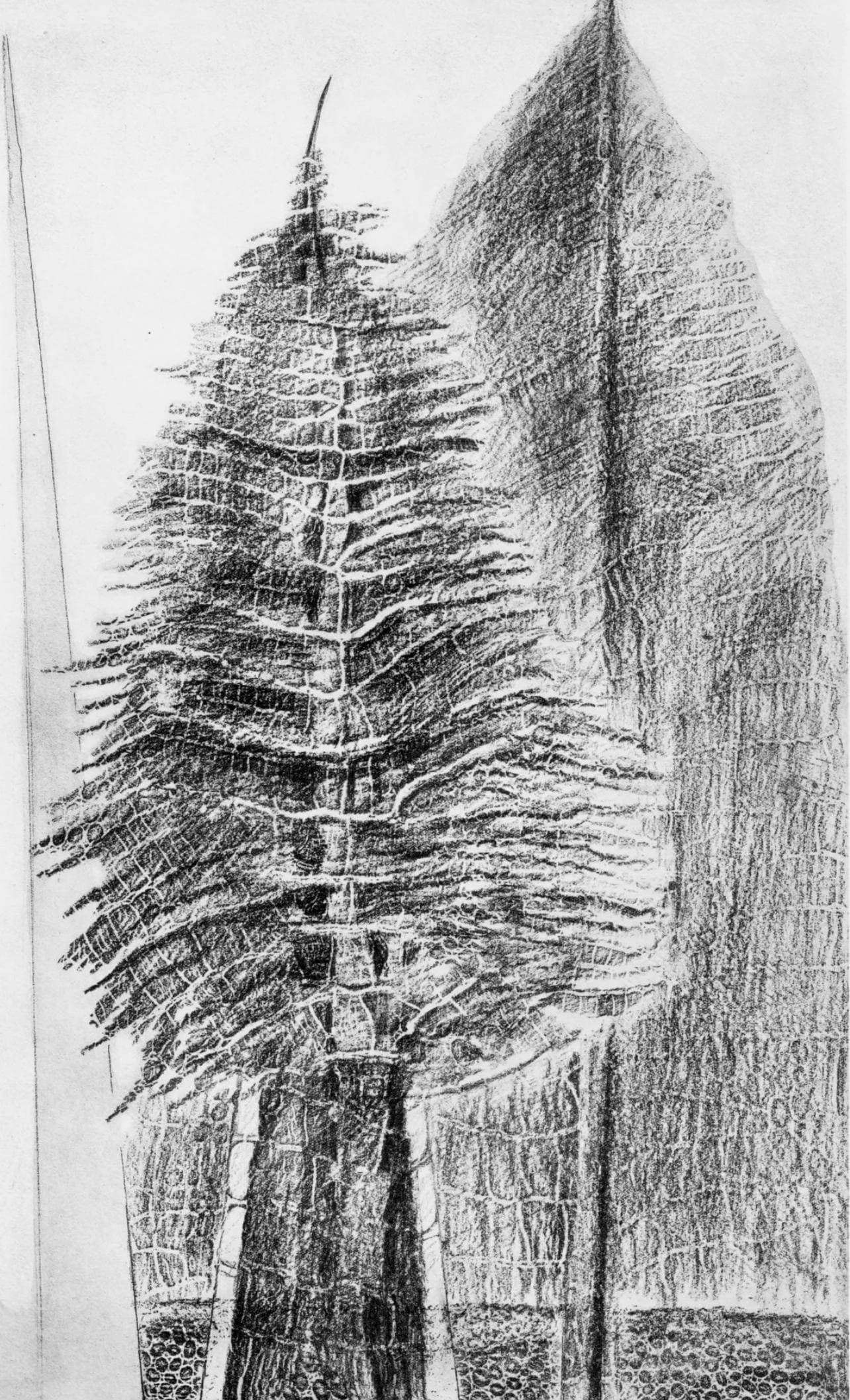 Max Ernst, Composition (Spies/Leppien 222), Histoire Naturelle, Lithograph