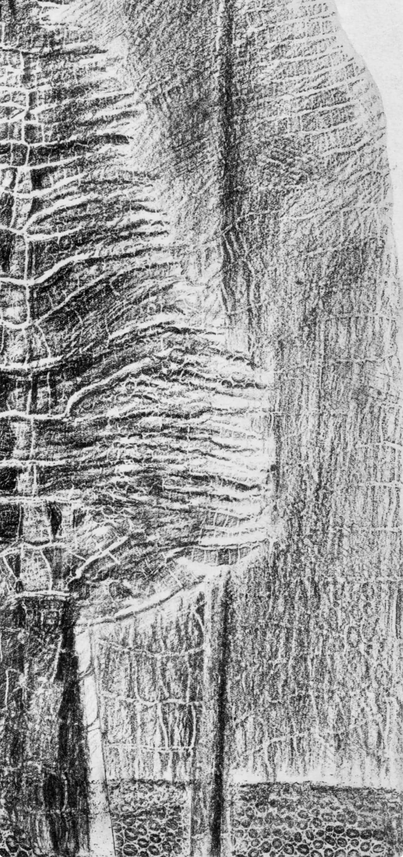 Max Ernst, Composition (Spies/Leppien 222), Histoire Naturelle, Lithograph