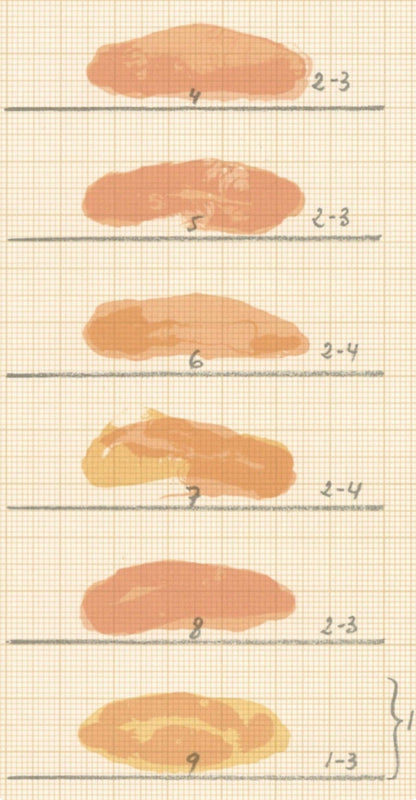 Joan Hernndez-Pijuan, Composition, Ediciones Polgrafa, Redfern Gallery, Lithograph