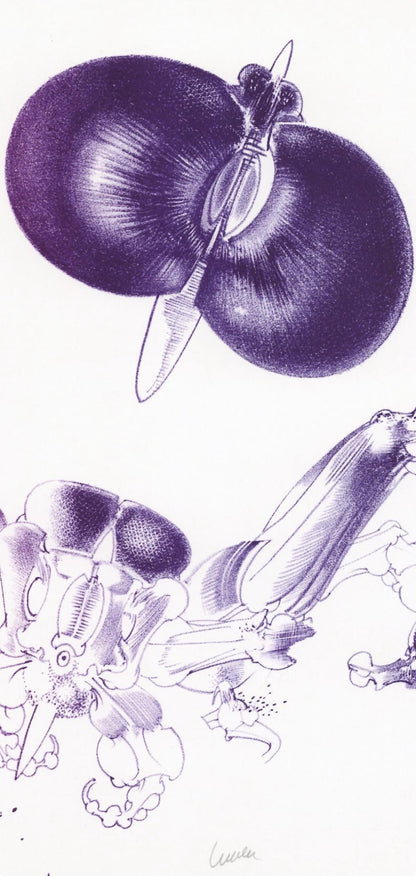 Franois Lunven, Composition, Variations Sur L'Imaginaire, Lithograph