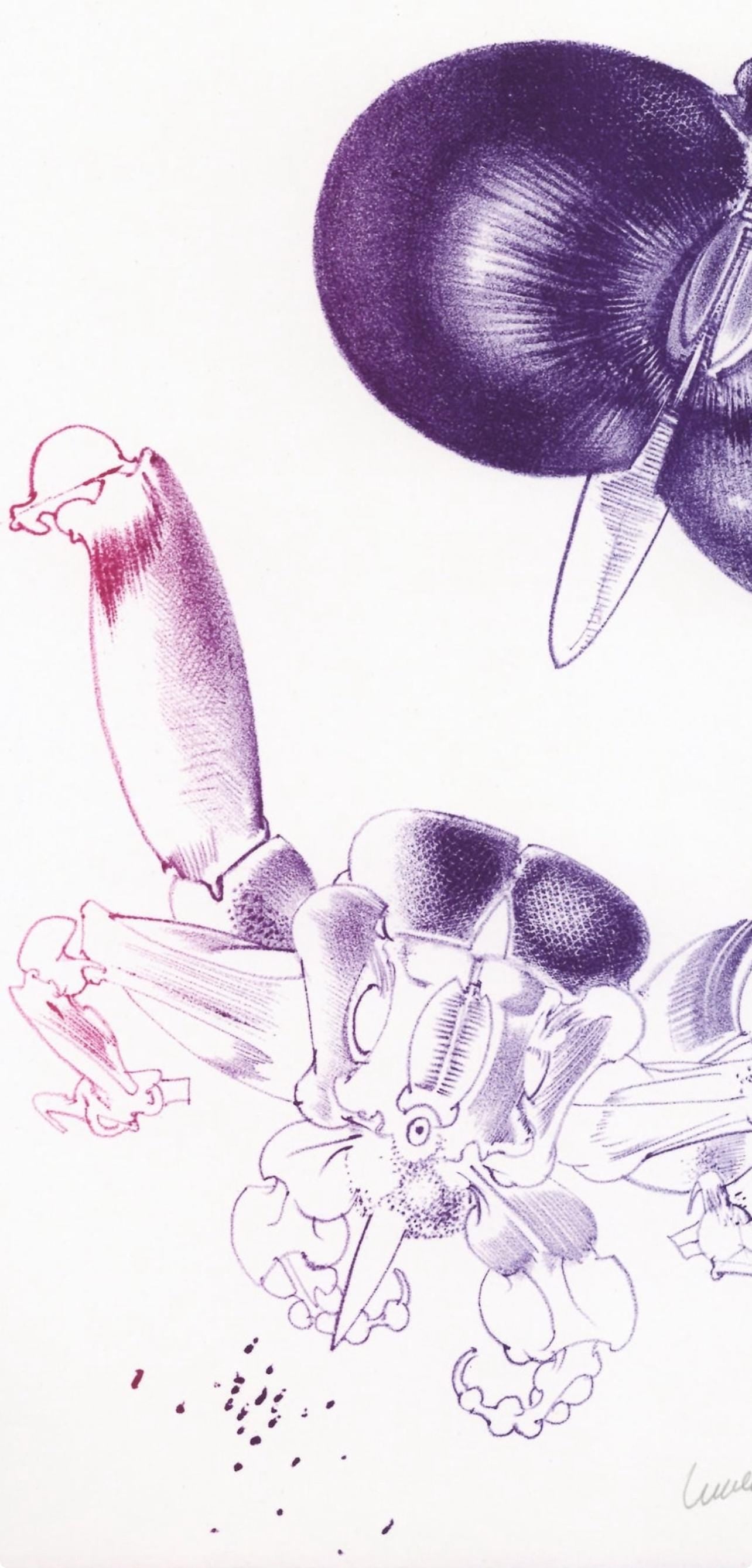 Franois Lunven, Composition, Variations Sur L'Imaginaire, Lithograph