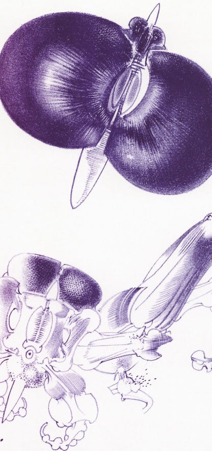 Franois Lunven, Composition, Variations Sur L'Imaginaire, Lithograph