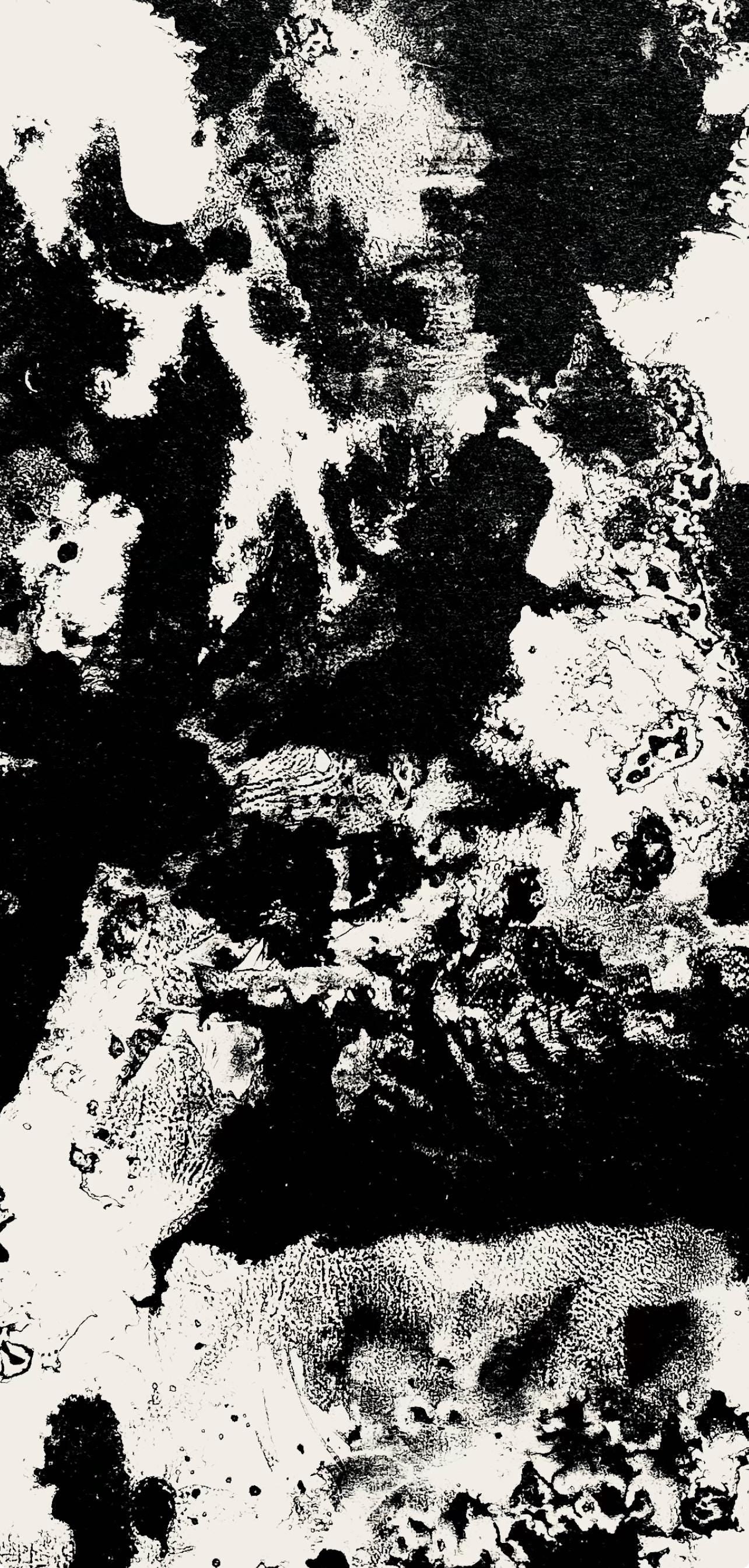 Franois Fiedler, Composition, Derrire Le Miroir, Lithograph