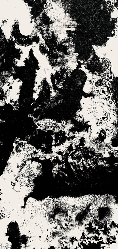 Franois Fiedler, Composition, Derrire Le Miroir, Lithograph