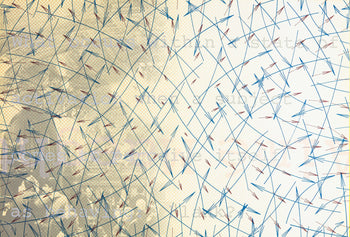 Shusaku Arakawa ?? ??, Composition, Derrire Le Miroir, Lithograph