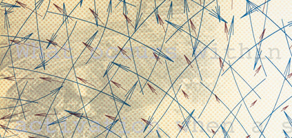 Shusaku Arakawa ?? ??, Composition, Derrire Le Miroir, Lithograph