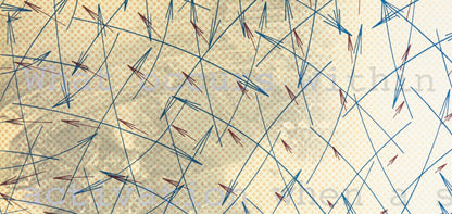 Shusaku Arakawa ?? ??, Composition, Derrire Le Miroir, Lithograph