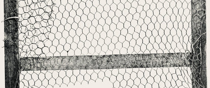 Paul Rebeyrolle, Composition, Derrire Le Miroir, Lithograph