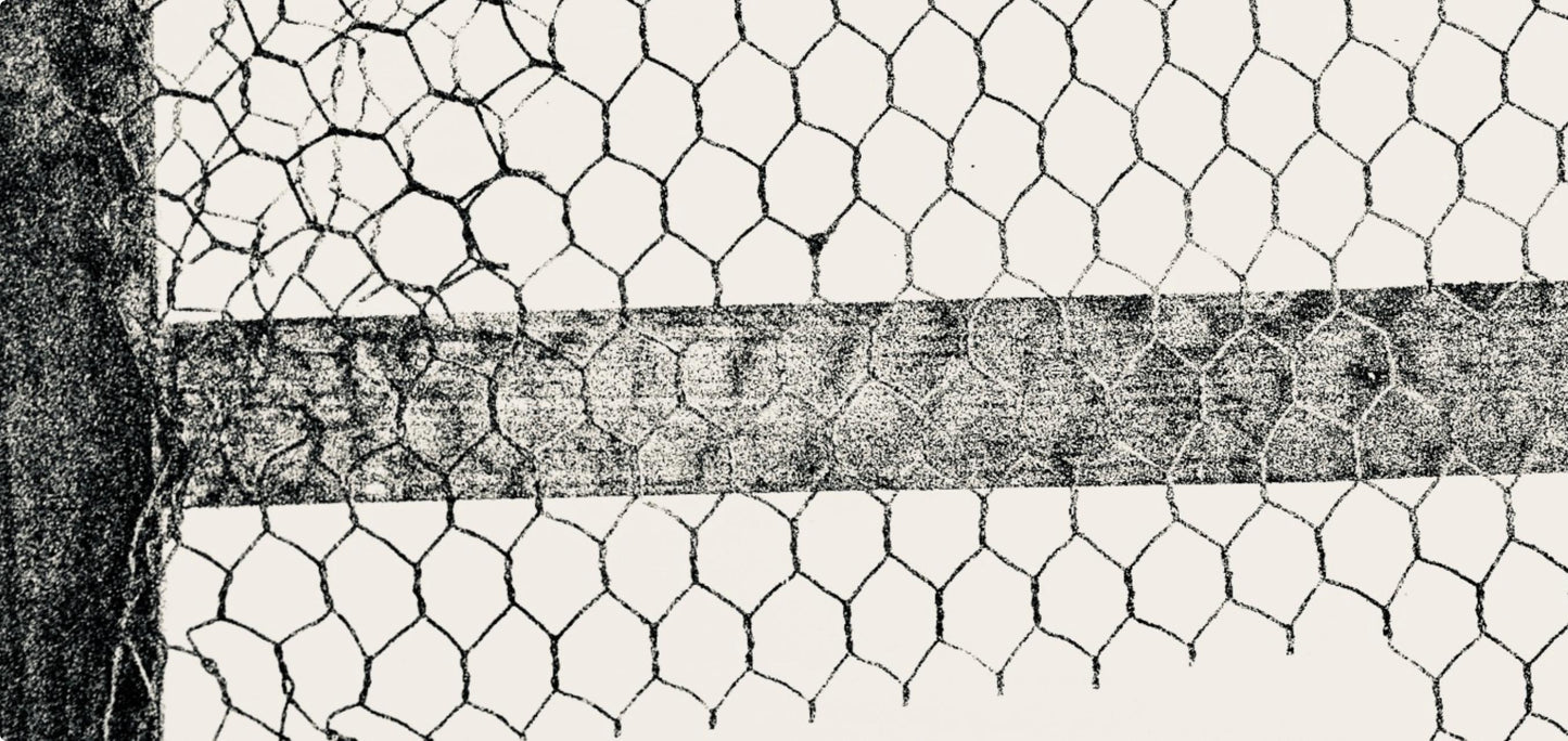 Paul Rebeyrolle, Composition, Derrire Le Miroir, Lithograph