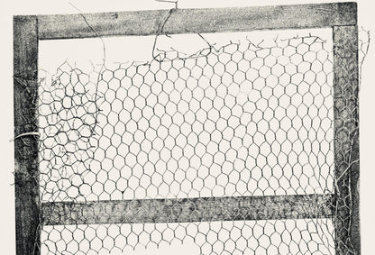 Paul Rebeyrolle, Composition, Derrire Le Miroir, Lithograph