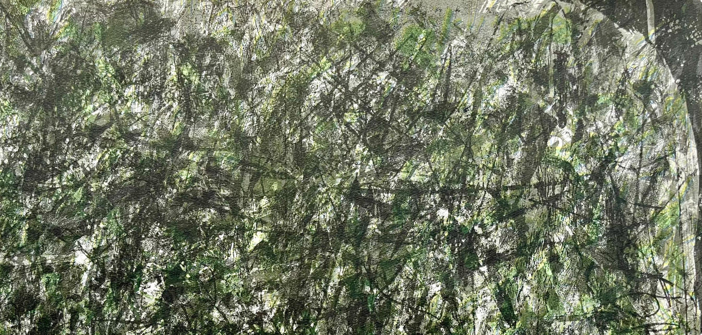 Franois Fiedler, Composition, Derrire Le Miroir, Lithograph