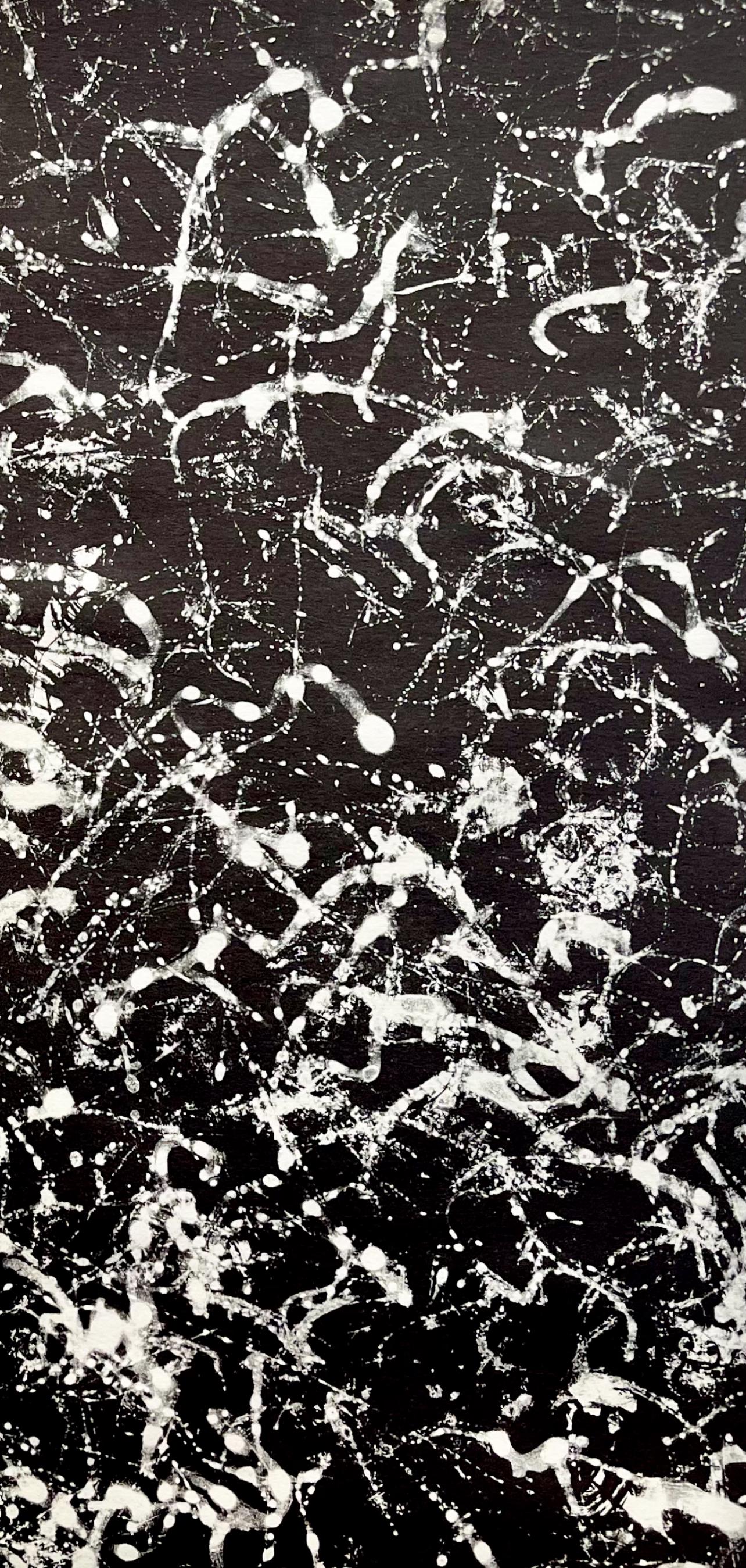 Franois Fiedler, Composition, Derrire Le Miroir, Lithograph