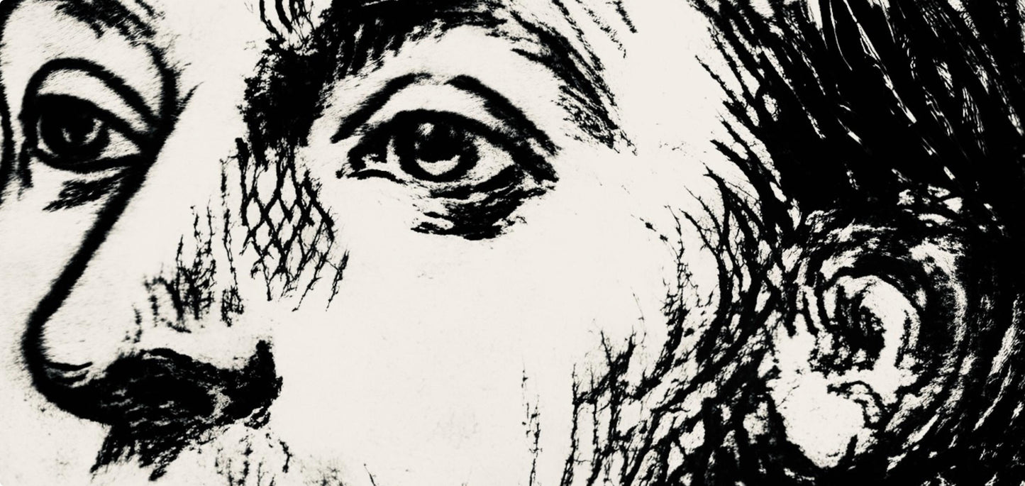 Pablo Picasso, Composition (Hodorisch C14; Hubert 168), Cumes De La Mer, Lithograph