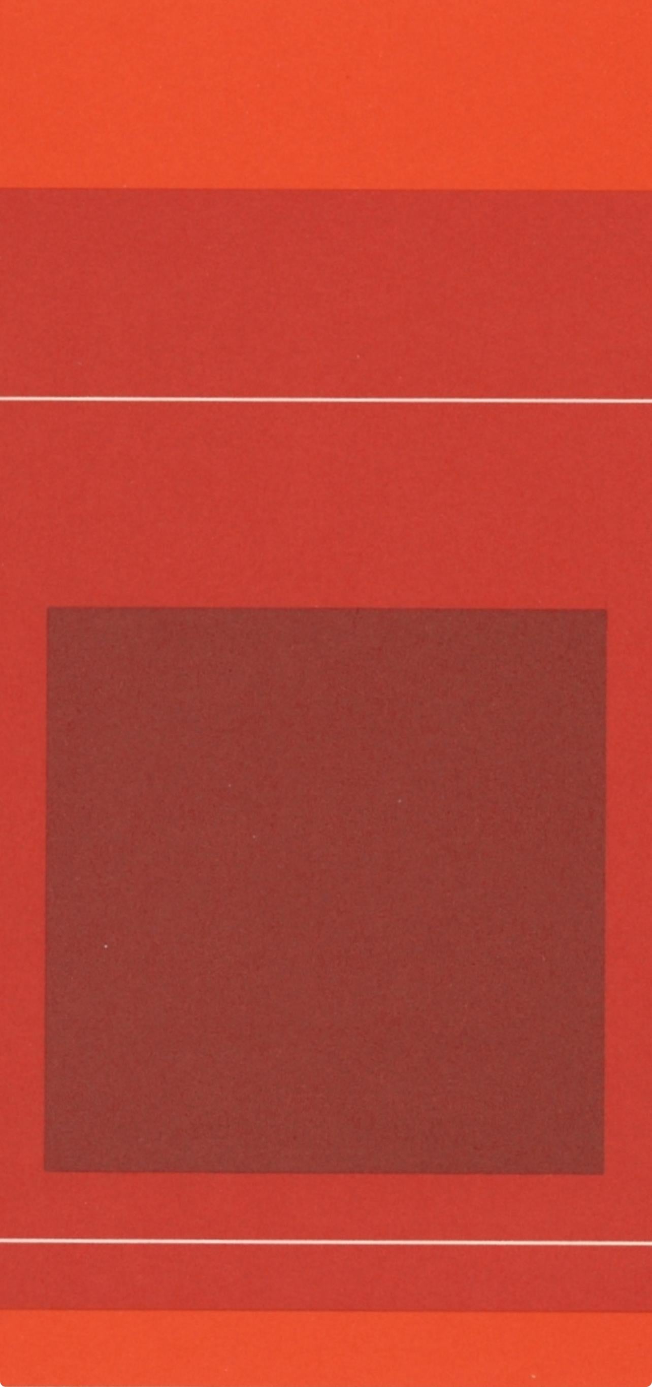 Josef Albers, Homage To The Square, Josef Albers: White Line Squares, Lithograph