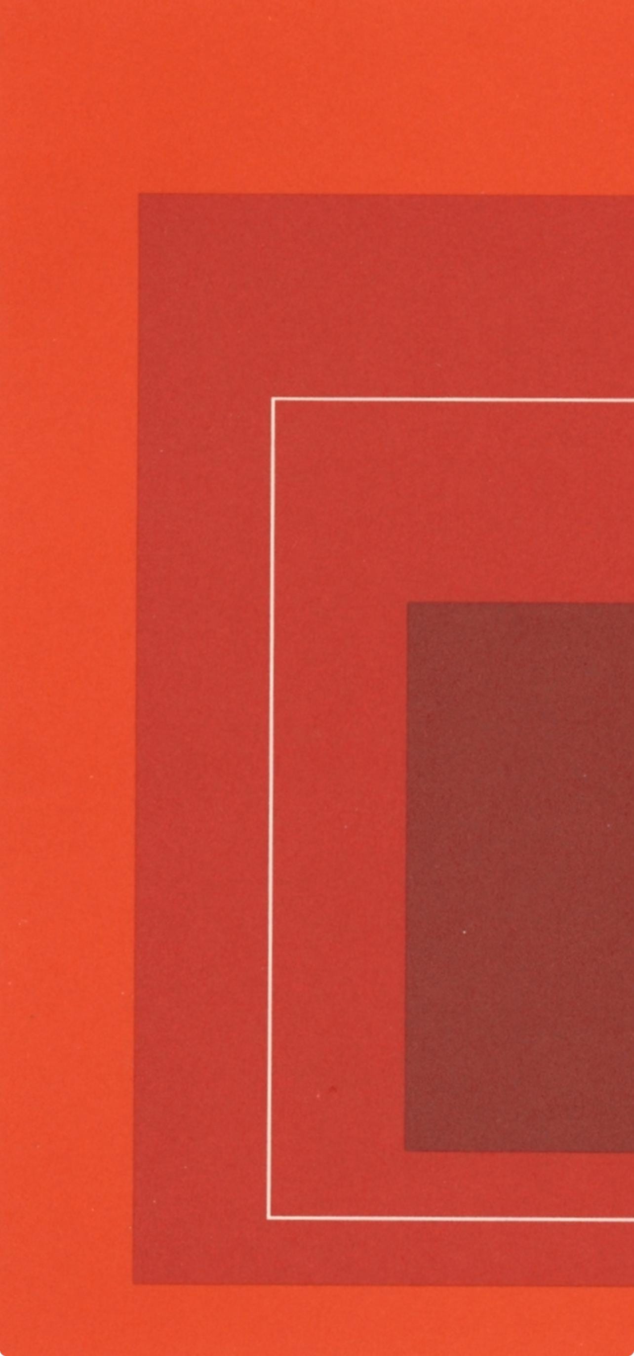 Josef Albers, Homage To The Square, Josef Albers: White Line Squares, Lithograph