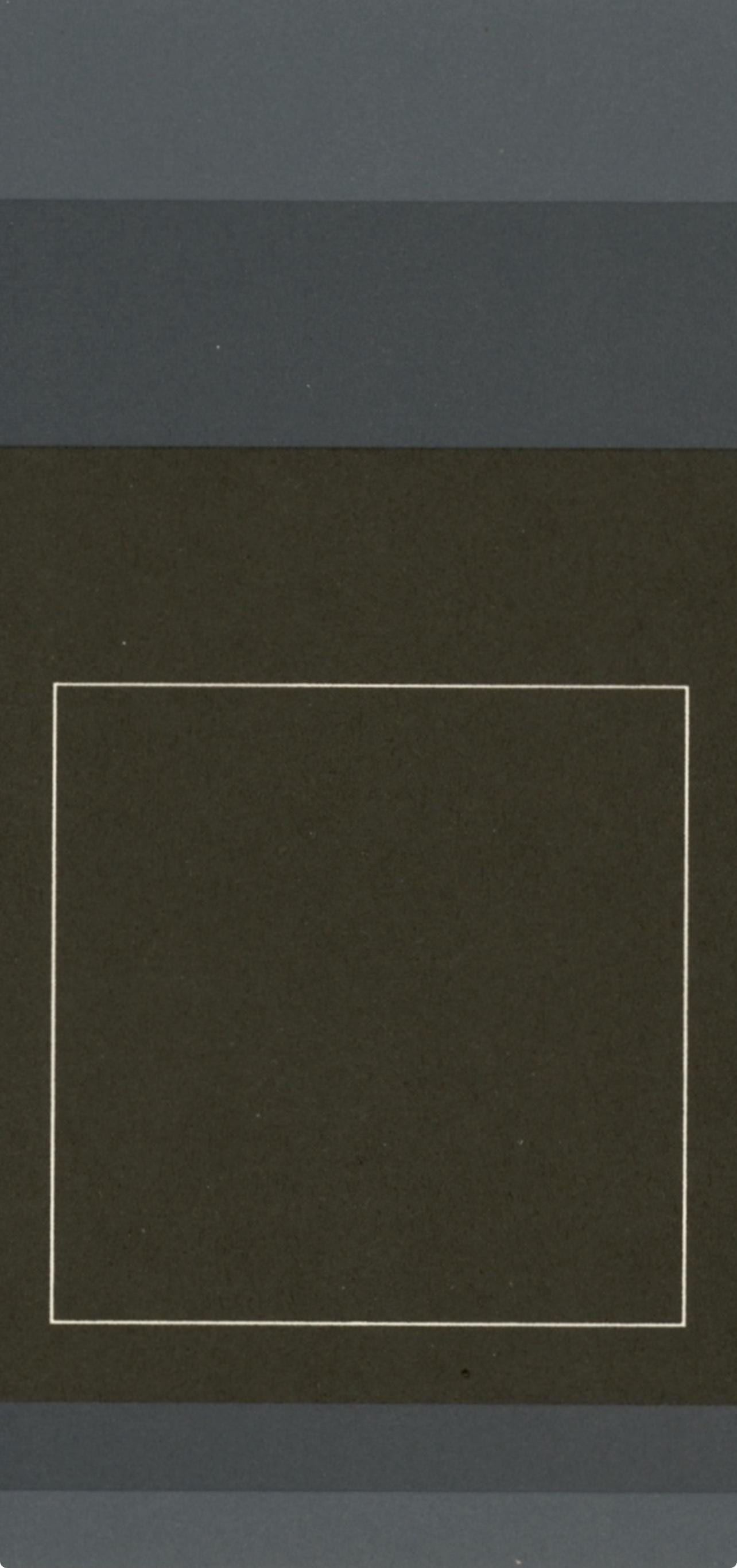 Josef Albers, Homage To The Square, Josef Albers: White Line Squares, Lithograph