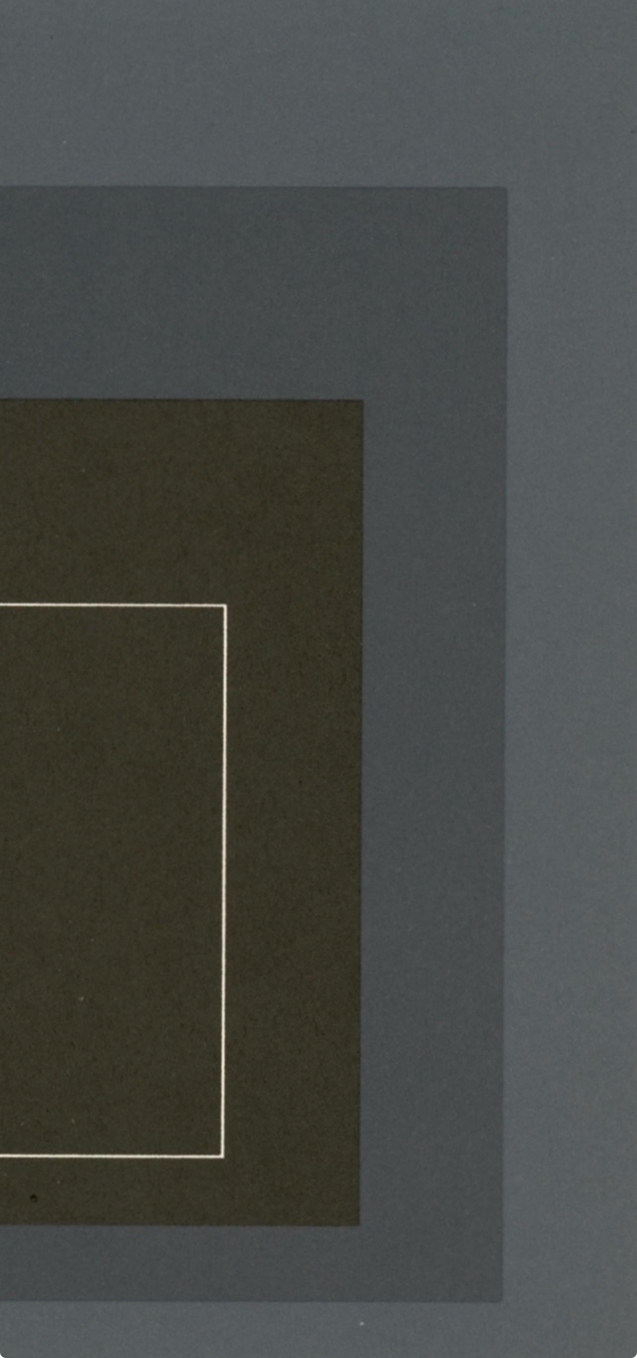 Josef Albers, Homage To The Square, Josef Albers: White Line Squares, Lithograph