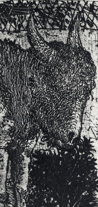 Pablo Picasso, Anes, Sur Une Planche Grave (Cramer No. 84), 40 Dessins De Picasso En Marge Du