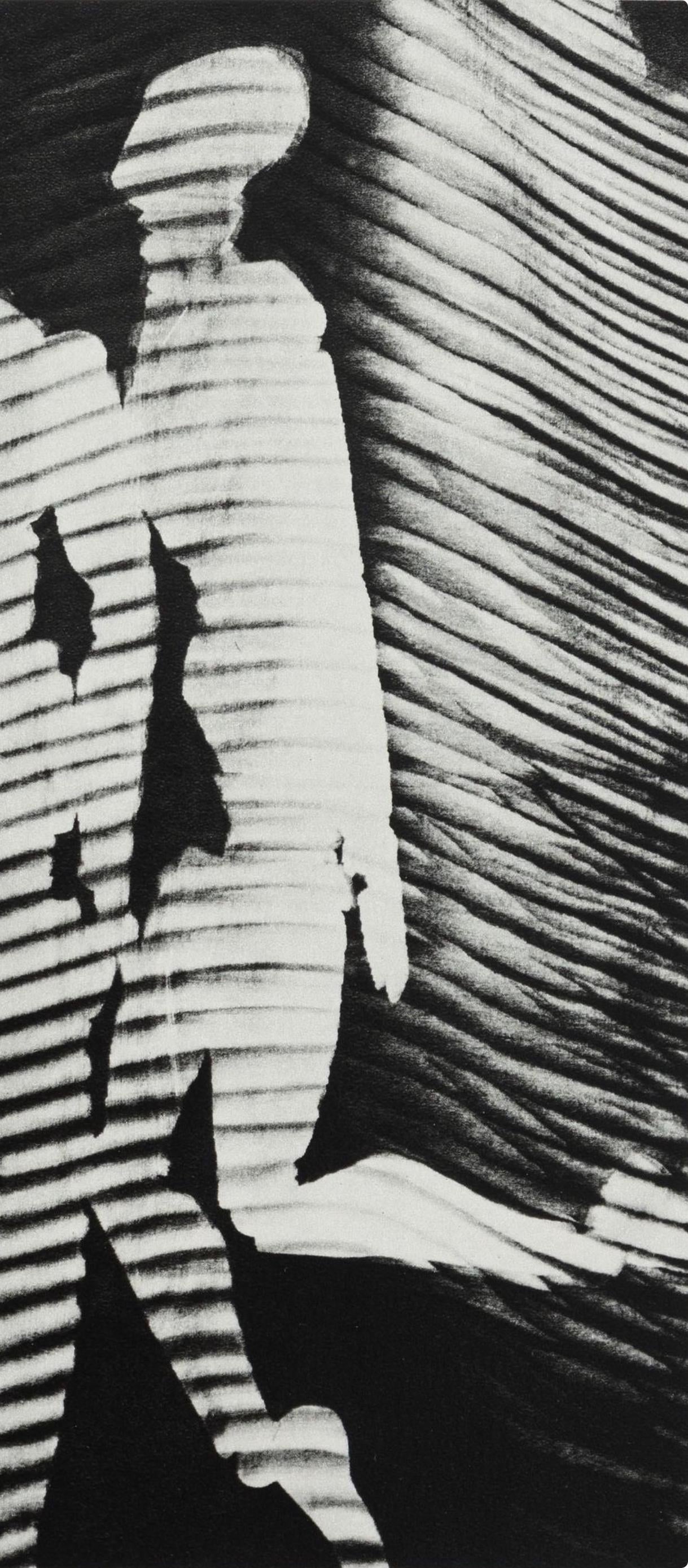 Man Ray, Composition, Man Ray, Electa Editrice Portfolios, Hliogravure