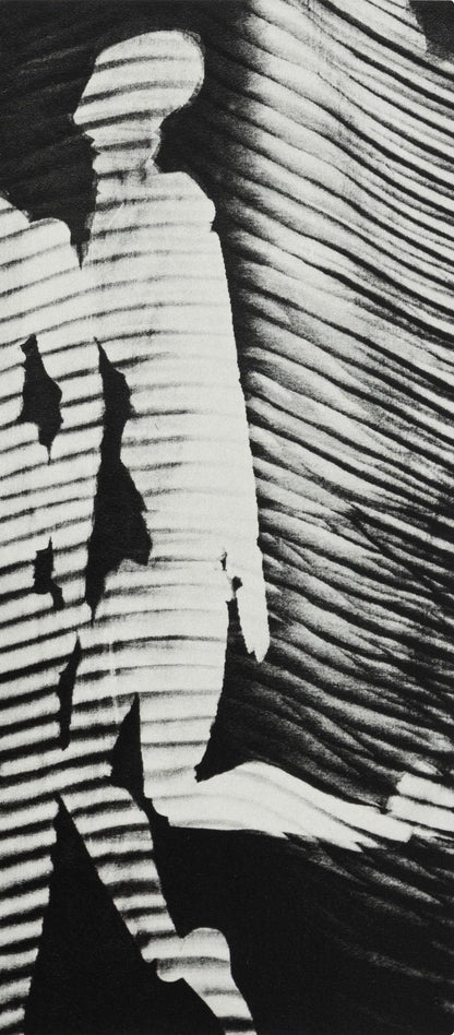 Man Ray, Composition, Man Ray, Electa Editrice Portfolios, Hliogravure