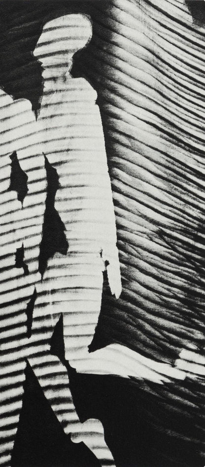 Man Ray, Composition, Man Ray, Electa Editrice Portfolios, Hliogravure