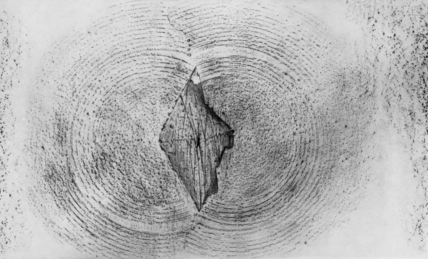 Max Ernst, Composition (Spies/Leppien 222), Histoire Naturelle, Lithograph