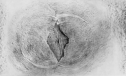 Max Ernst, Composition (Spies/Leppien 222), Histoire Naturelle, Lithograph