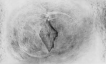 Max Ernst, Composition (Spies/Leppien 222), Histoire Naturelle, Lithograph